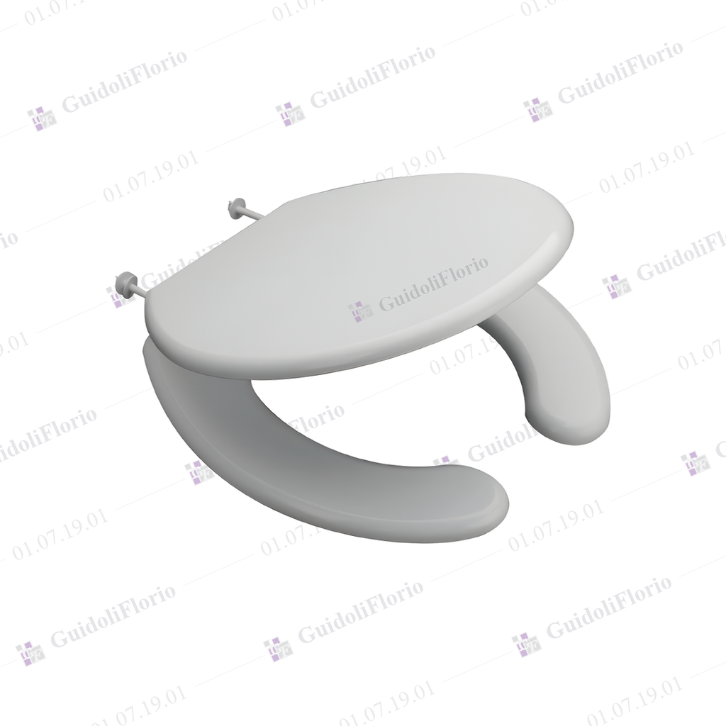 ASIENTO C/TAPA DISCAPAC.ESPACIO FER