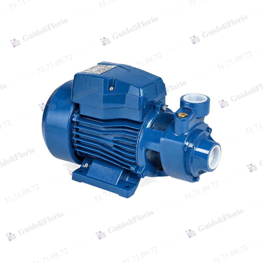 BOMBA AGUA PERISF.3/4 HP PLUVIS