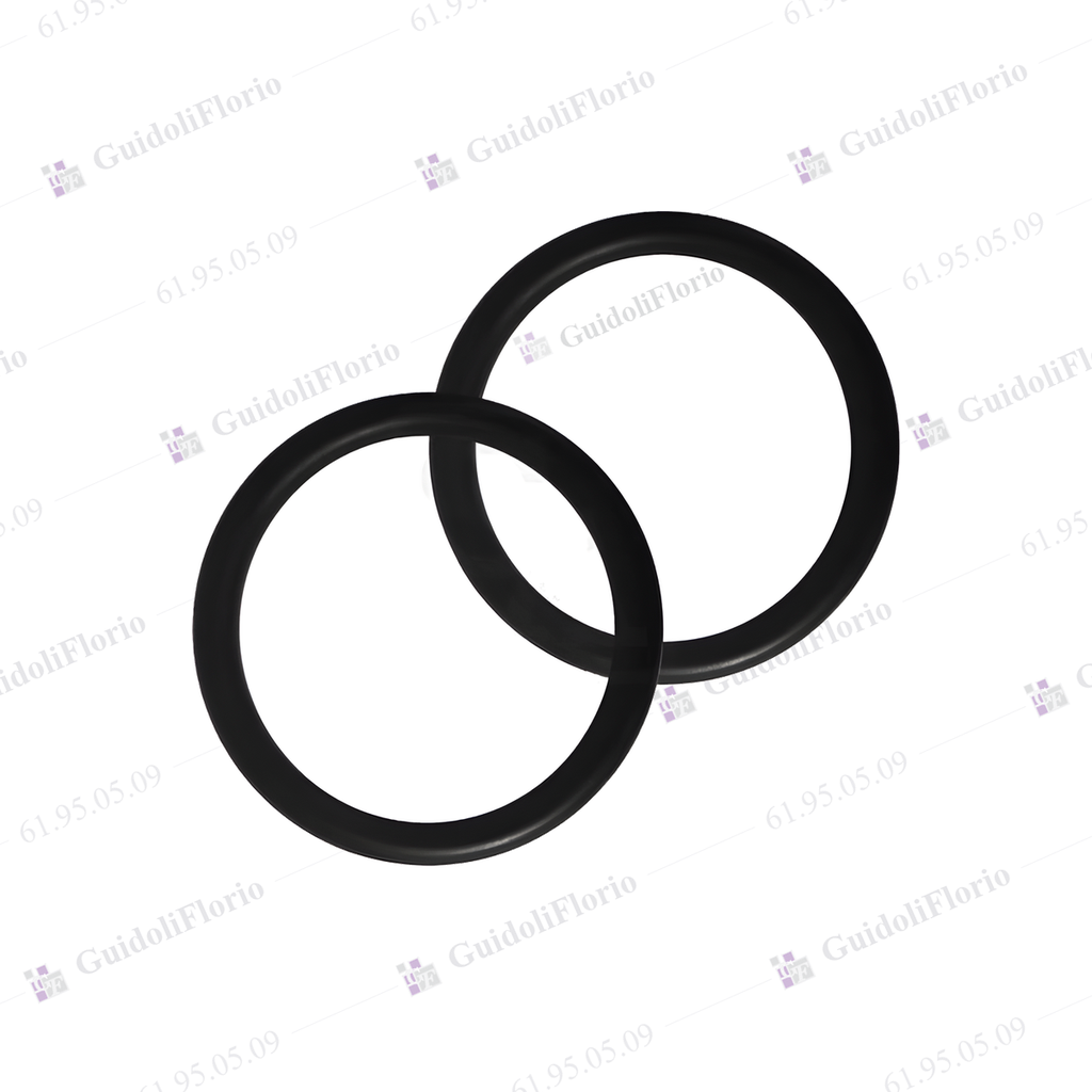 [61.95.05.09] O-RING MONOCO.ARIZO.0411/B1.9A.RD 2