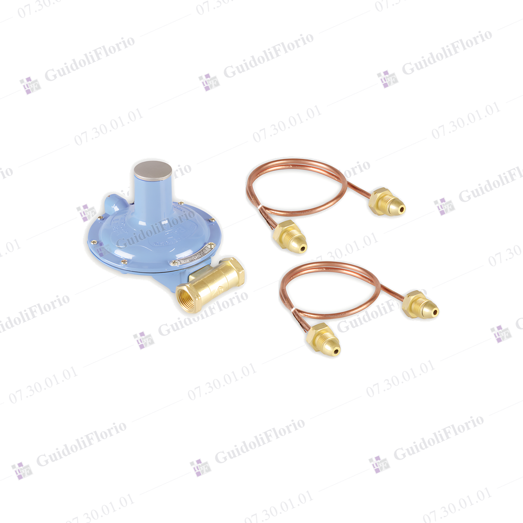 [07.30.01.01] REGULADOR P/GAS ENVASADO C/FLEXIBLE